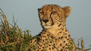 The Gaming Galleon: Namibia, Africa (Cabela's African Safari, PS2)