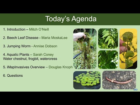 9th Annual Imapinvasives Mapping Challenge Launch