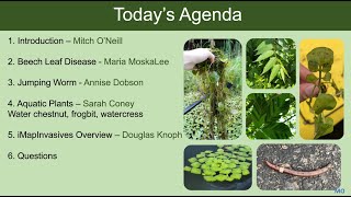 9th Annual iMapInvasives Mapping Challenge Launch