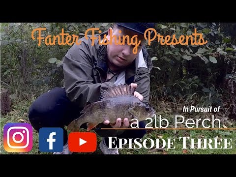 Fanter Fishing Episode Three Pursuit Of A 2lb Perch FINALLY CAUGHT SOME PERCH Essex Club Water