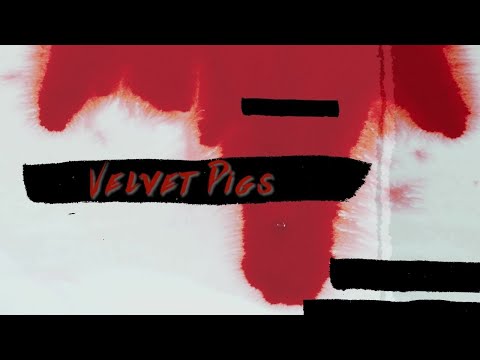 Velvet Pigs - Effo Veteris (Official Video)