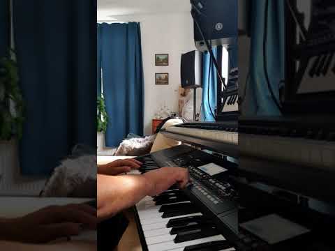 Daniel Acsenti/ Carlos Santana/ Korg pa 300