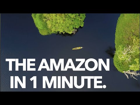 1分でわかるアマゾン (The Amazon in 1 Minute)
