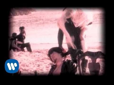 Dentro Del Mar video