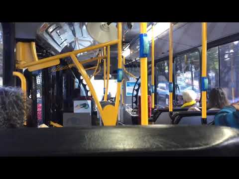 Transit Systems Sydney 2614 ST - Scania K280UB (ZF Ecolife)