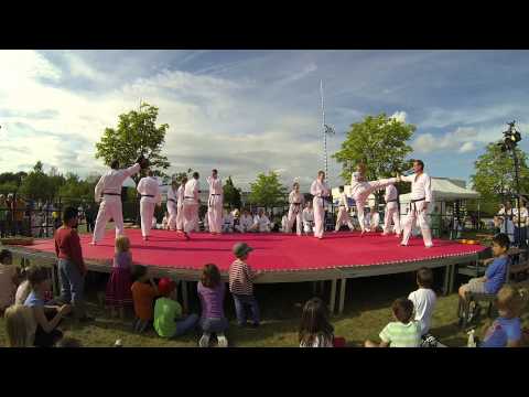 SVDJK Taufkirchen Taekwon-Do Vorführung