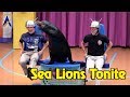 Sea Lions Tonite Full Show During Electric Ocean At SeaWorld Orlando