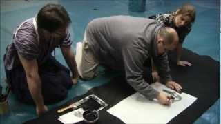 Ogawa Ryu - Sumi-e Painting Bamboo and Small Bird of Prey Teaching Moments