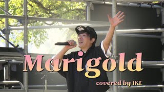 아이묭 노래 불러주는 이케🎤 「이케(IKE) - 마리골드(マリーゴールド) 라이브」 가사/해석/번역
