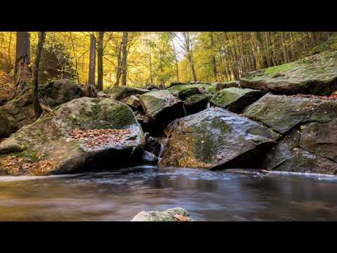 DÁ-ME UMA GOTINHA DE ÁGUA - Popular Alentejana