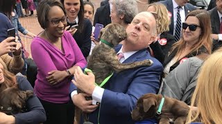 Md. pet stores can't sell 'puppy mill' pets