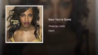 Now You're Gone Music Video
