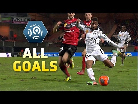Ligue 1 - Week 24 : Goals compilation - 2013/2014