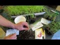 How to Grow Your Own Onion & Leek Transplants ...