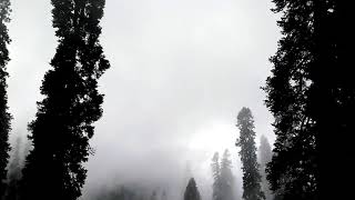 preview picture of video 'Manshi Top, Sharan Forrest, Kaghan Valley'