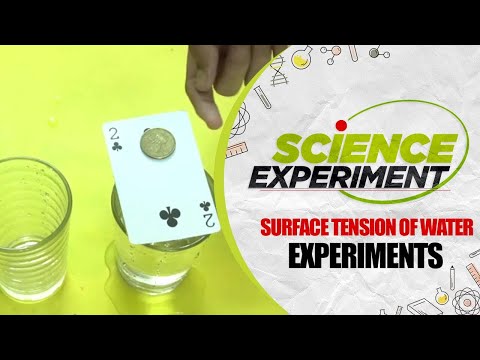 Science Experiment - 54 | Surface Tension of Water Experiment | Chemistry Experiment
