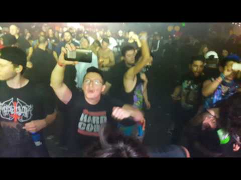 Lady Dammage Closing Winterfresh Music Festival 2016