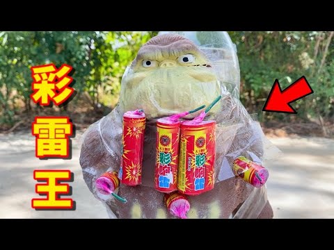 点燃3枚彩雷王同时爆炸，猩猩会被炸坏吗【疯狂大虾】