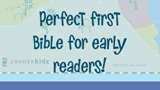Review of The Illustrated NIRV Holy Bible for Kids