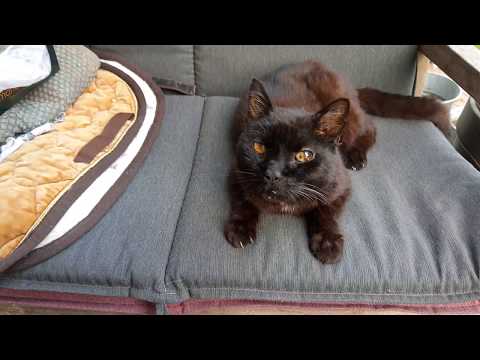 Beispiel-Video Motorola One Action | 4K mit 30 Bildern pro Sekunde