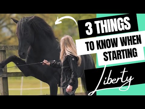 3 things you need to know when starting Liberty with your horse | Georgia Plimbley