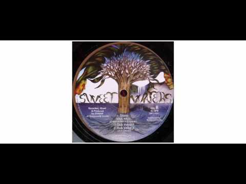 Bunnington Judah / Soul Mate - Born To Take The Pain / Stone - 12" - Sweet Waters