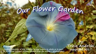 Our Flower Garden - Full Length Children&#39;s Story