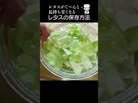 レタスの冷凍: それは可能ですか?可能ならどのようにすればよいですか? トピックス