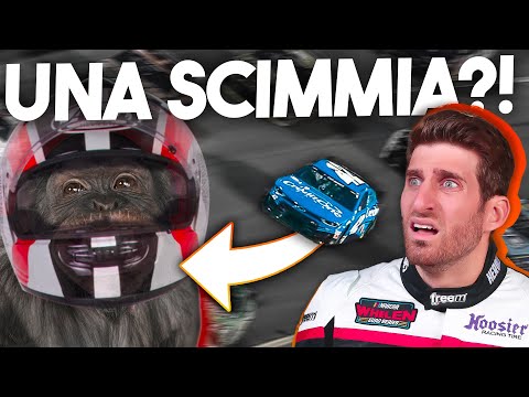 UNA SCIMMIA HA VINTO una GARA della NASCAR - É successo davvero