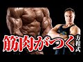 【筋トレ】筋肉を大きくしていくために必要な3つの条件について詳しく解説します【初心者必見】