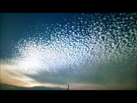 Two Modest & Solidstice ft.Natune - Spread Love