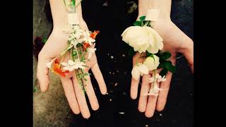 S. Carey - Rose Petals