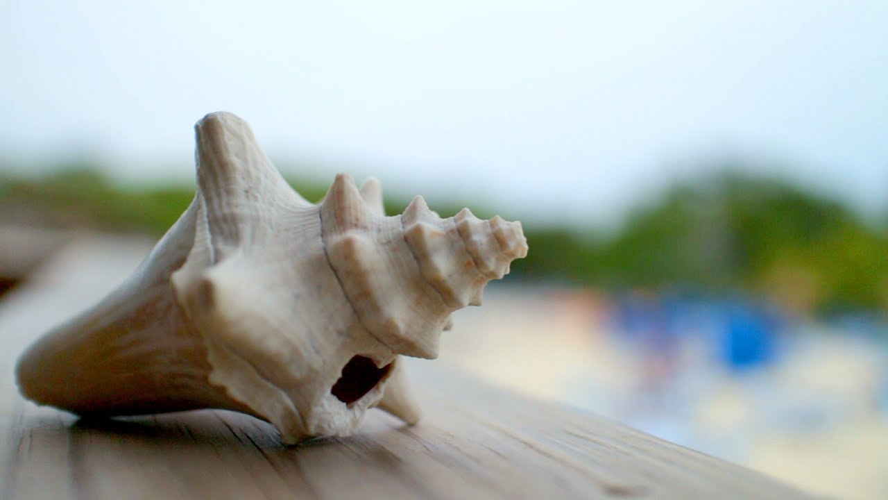 Объектив Canon EF-M 22mm f/2.0 STM