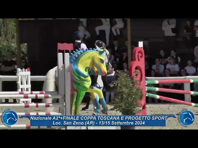 Mare Other Pony Breed For sale 2009 Liver chestnut