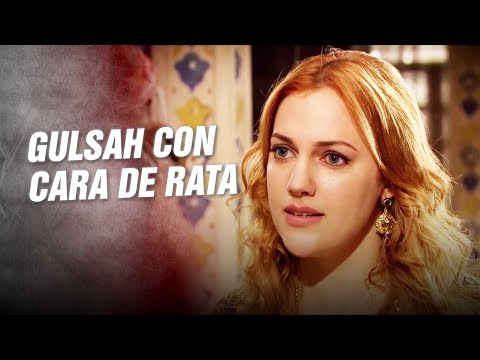 Sal de aquí sin pisar tu cola