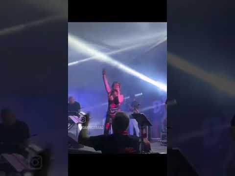 D'animos Band in Tour