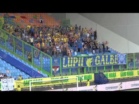 Vitesse - Petrolul 1-2 08.08.2013