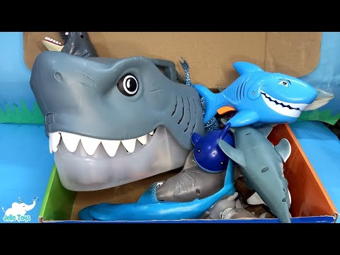 Educational shark toys for kids| Box Full of Sea aninal toys for toddlers