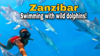 Ultimate BUCKETLIST ACTIVITY in Zanzibar | Swimming with wild DOLPHINS at Mnemba island 🇹🇿