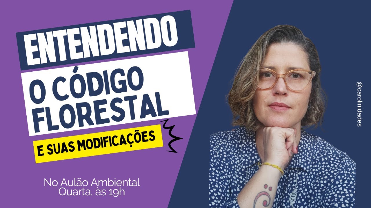 Vamos entender o Código Florestal?