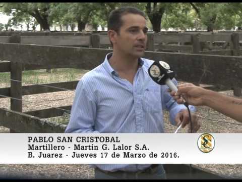 17-03-16 Nota Pablo San Cristobal - Martin G. Lalor S.A. - B. Juarez.