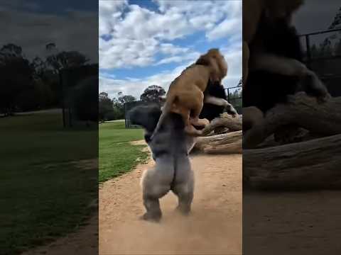 WHEN THE ENCLOSURE FAILS POWER ANSWERS BACK