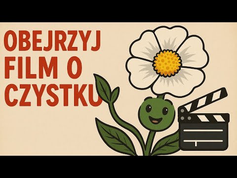Problemy z potencją w 38 lat Pomaga orzech potencję