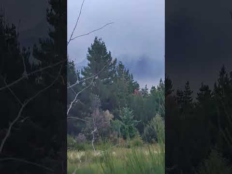 11/02/26 Epuyén, Chubut. #chubut #epuyen