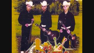 Los Cuates De Sinaloa-El Pobre Viejo