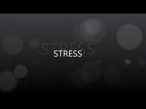 DANiEL -  STRESS feat.  FRYCI /Lyrics Video/