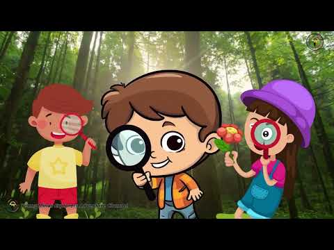 Let's Explore Nature: Learning Adventure #easylearning #explore #nature