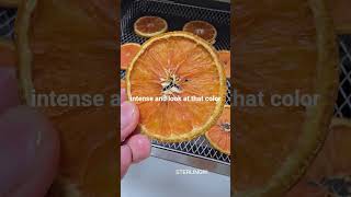 How to Make Chocolate Dipped Orange Slices #chocolate #dessert #chocolateorange #diy #recipes