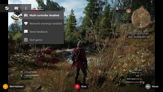 Shield Pro 2019 - GeForce Now; Playing Witcher 3 from the Cloud