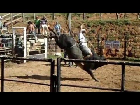 Ananias Pereira Treino